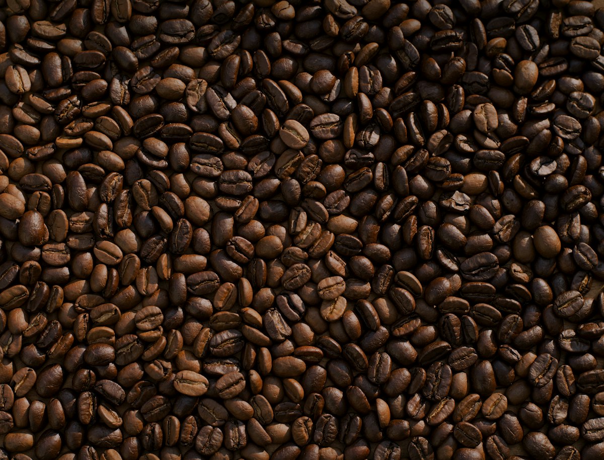 Biji Kopi Sangrai Segar Berkualitas Specialty Grade