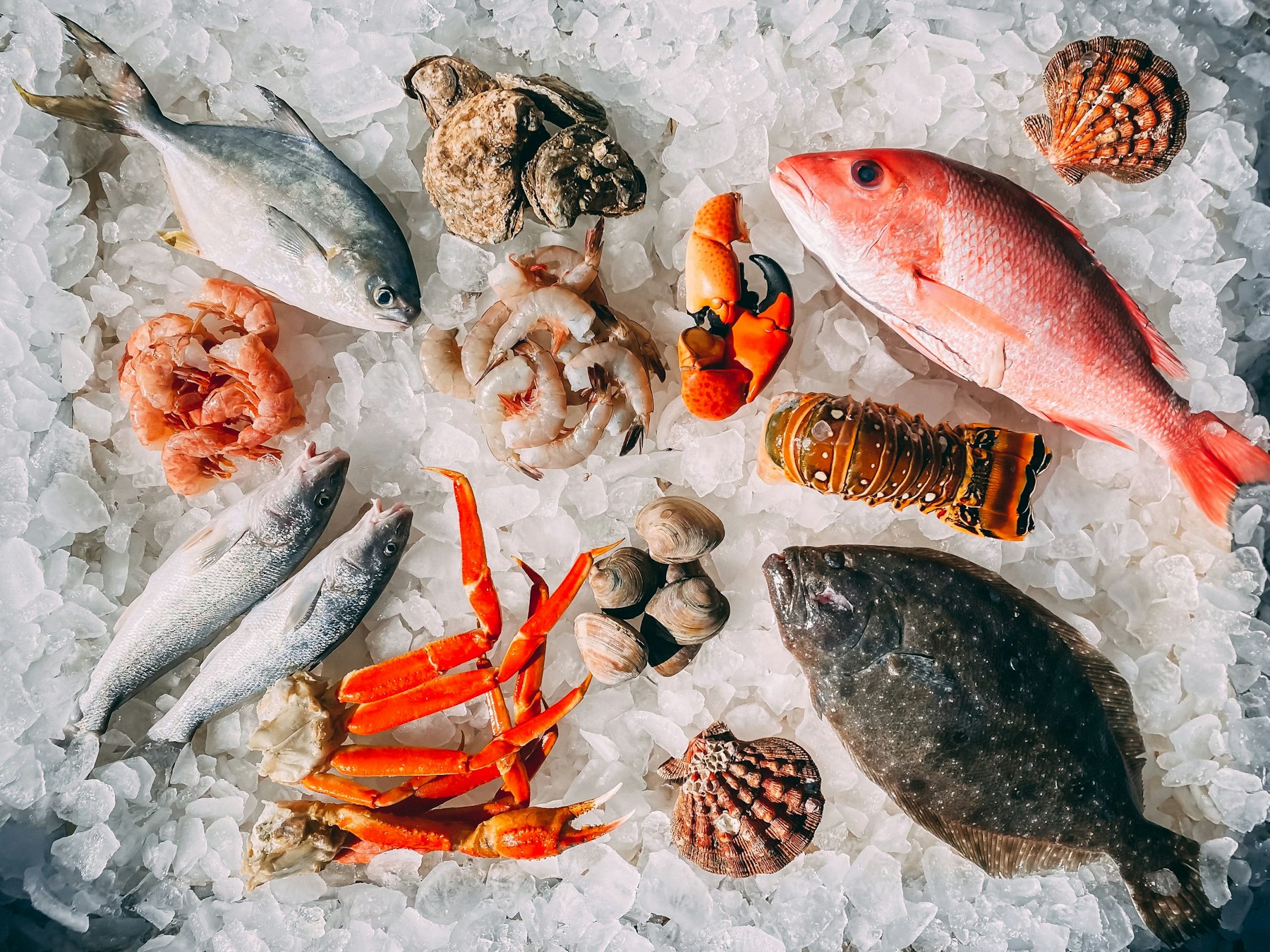 Pilihan ikan segar, udang windu, kepiting, dan kerang di atas tumpukan es dapur Ombak.